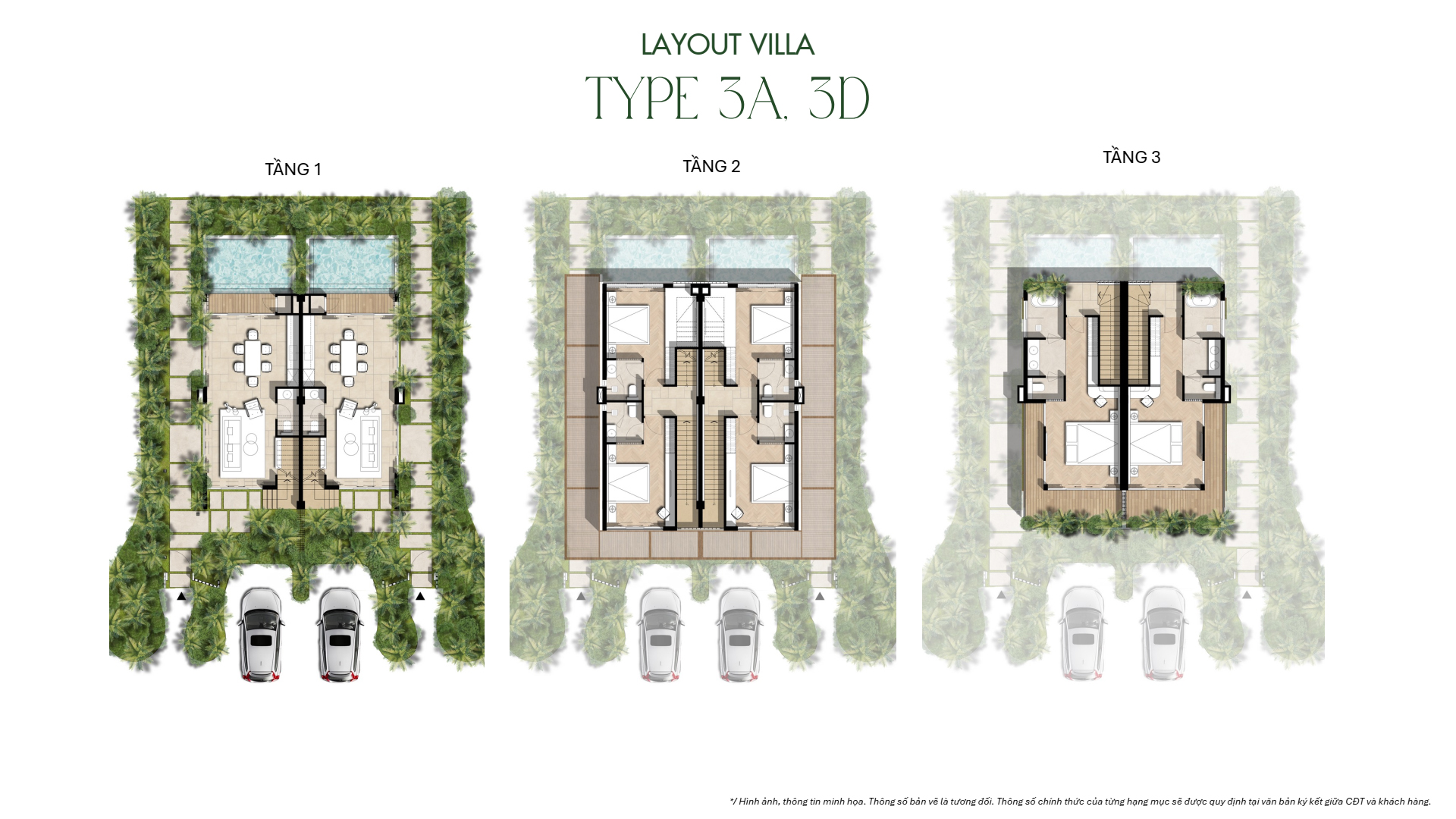 Type 3A, 3D