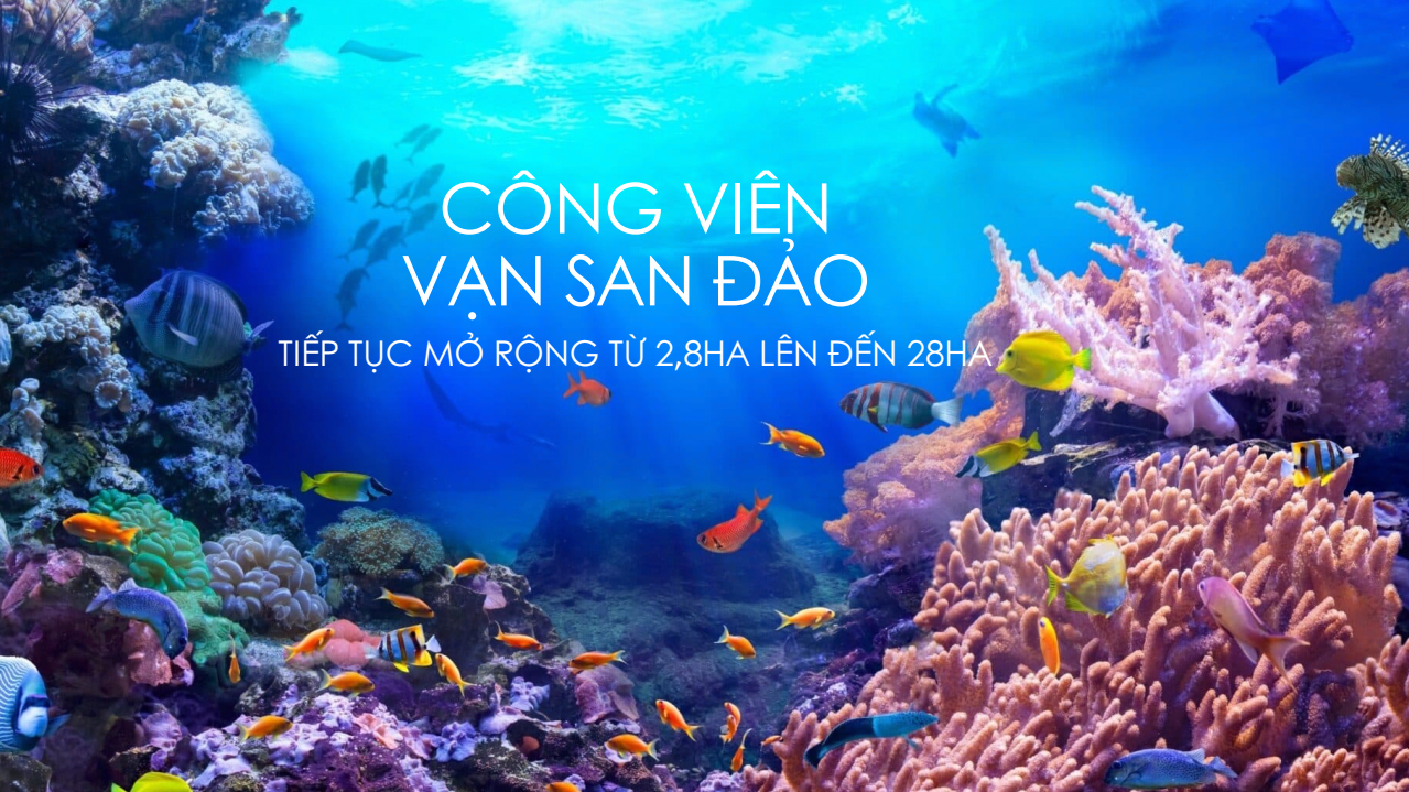 CÔNG VIÊN SAN HÔ